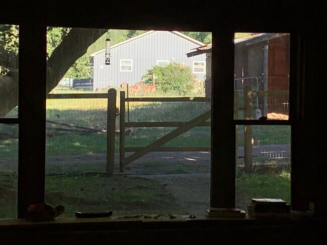 Building Photo - 604 Sweeney Creek Loop
