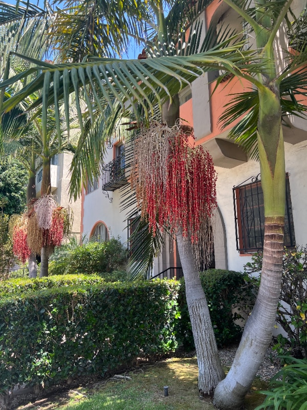 Photo - 420 S Detroit St Apartment