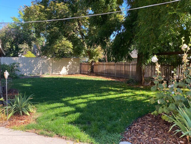 Foto del edificio - Beautiful 3 bed/2 bath On South Hill!