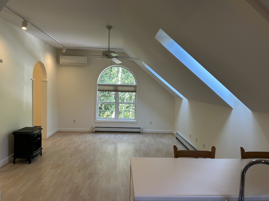 Open concept living room with skylights and track lighting - 50 Pine St