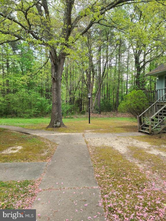 Primary Photo - 11057 Vernon Woods Dr