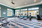 Located at 100 Oakbrook Drive in McDonough, Georgia, this fitness center offers a well-appointed workout space designed to support a full range of exercise routines. The single-room facility is thoughtfully laid out, dividing the floor into distinct cardio and strength training zones. Along the windowed wall, a row of treadmills, stationary bikes, and an elliptical trainer are positioned to take advantage of natural light and outdoor views of the surrounding landscape, including a pergola and lush greenery beyond. The strength training area features a power rack with weight plates, a full dumbbell rack, adjustable benches, and additional cable machines, all reflected by a large wall-mounted mirror that enhances the sense of space. A mounted flat-screen television provides entertainment during workouts. The interior design is both energetic and polished, with bold teal-painted walls, decorative patterned wallcovering accents, and a striking wave-patterned carpet in tones of blue, grey, and cream. The tray ceiling adds architectural depth, while ceiling fans and recessed lighting ensure a comfortable and well-lit environment throughout. Large windows on multiple walls flood the space with natural light, creating an open and inviting atmosphere.