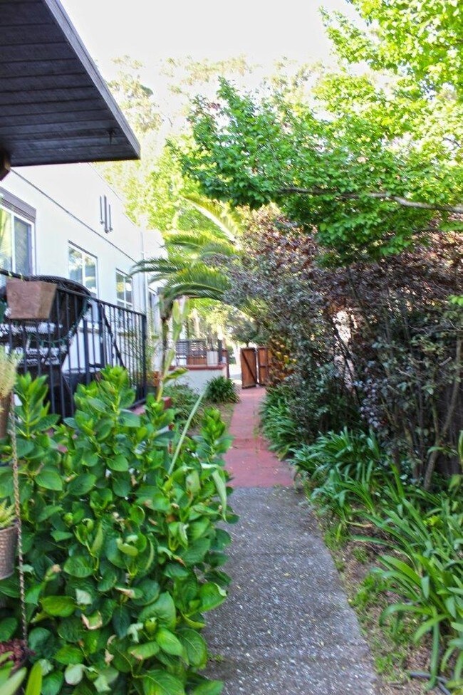 Nicely landscaped to front entrances - 511-517 California Dr