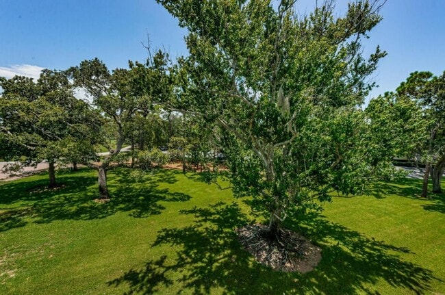 Foto del edificio - 36750 US Hwy 19 N