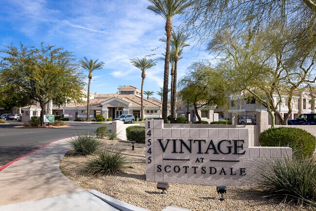 Building Photo - Vintage at Scottsdale