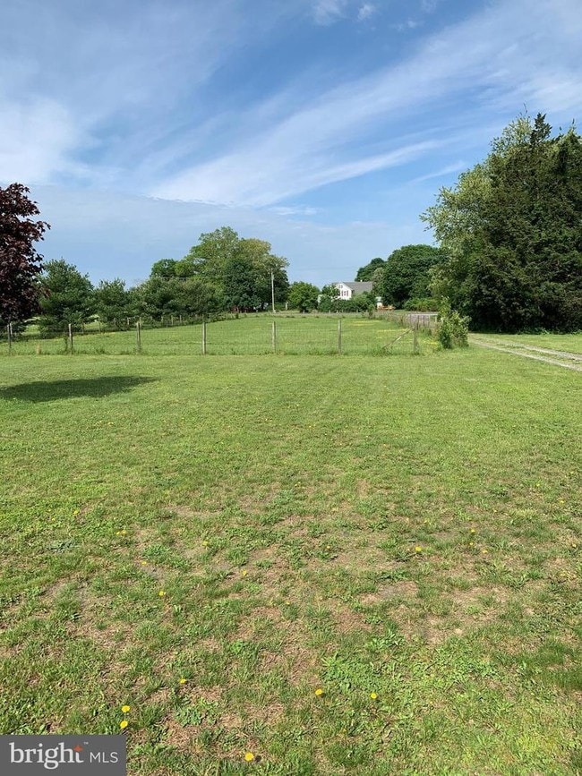 Building Photo - 247 Lincoln Ave