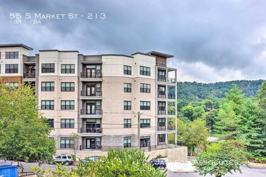 Primary Photo - Downtown Asheville