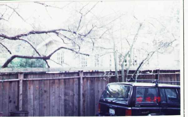 Building Photo - 16 Parkwood St