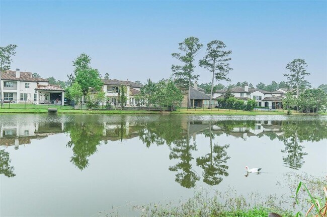 Building Photo - 19 Paloma Bend Pl