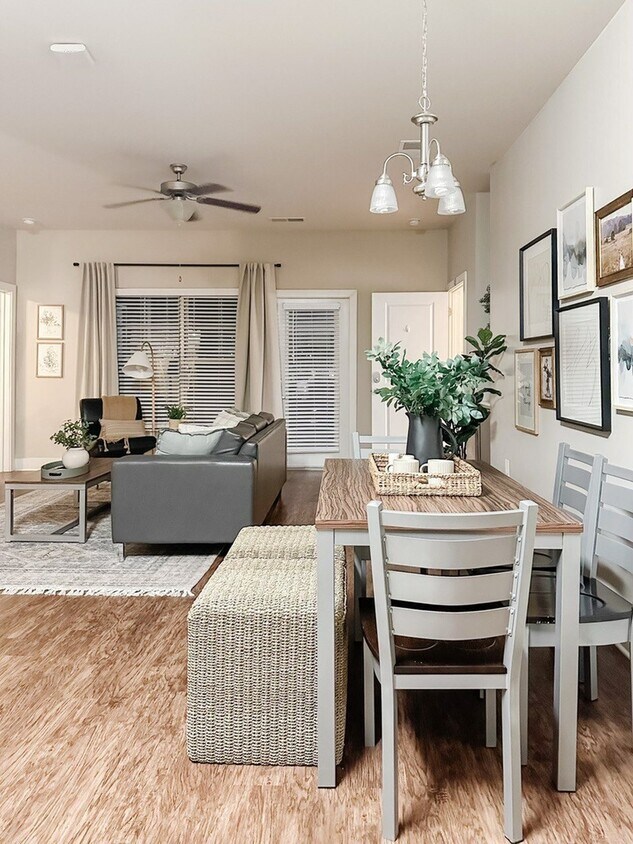 Yugo Charlotte College Downs Apartments in Charlotte, NC