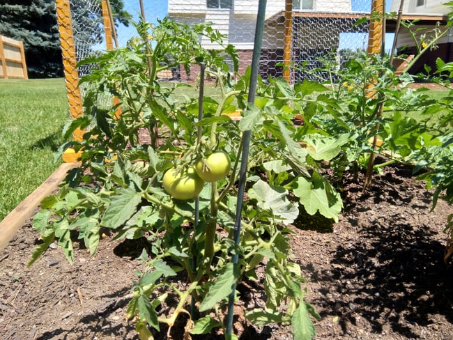 Building Photo - 8848 W Jewell Ave