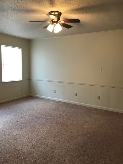 Building Photo - 905 Parkwood Dr