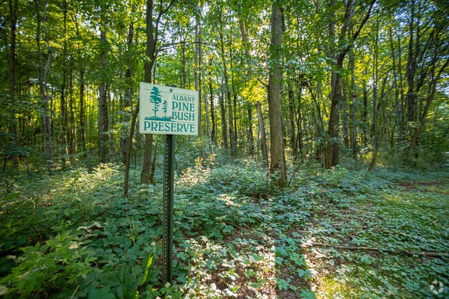 Trails near the Pine Bush Nature Preserve are popular with Guilderland locals.