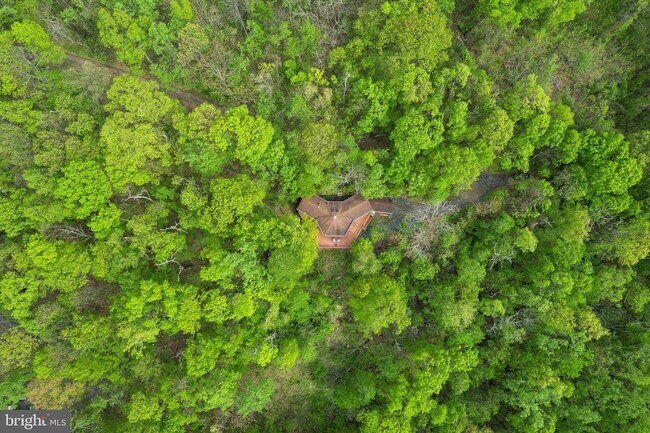 Foto del edificio - 116 Mossy Rock Ln