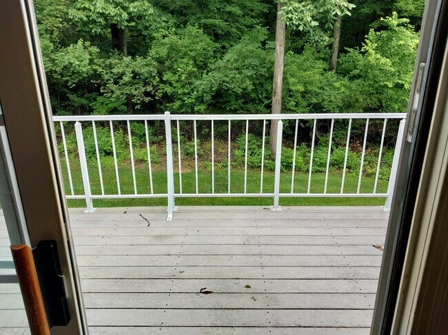 Foto del edificio - 3912 Vineyard Green Dr