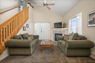 1204 Mountain Village Cir