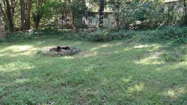 Foto del edificio - 3 Bed house on Sharkey St! Available August 2026!