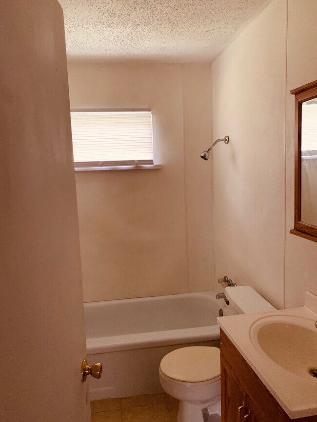 Bathroom. (click to open) - 271 San Jacinto