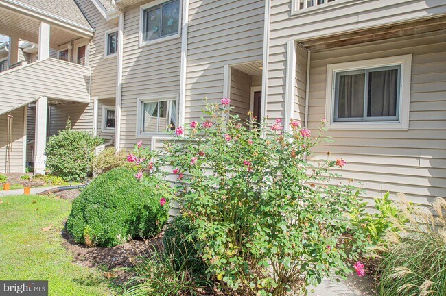 Building Photo - 749 Canvasback Ct