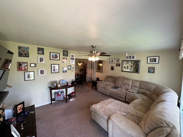 Living Room - 906 Walnut Rd