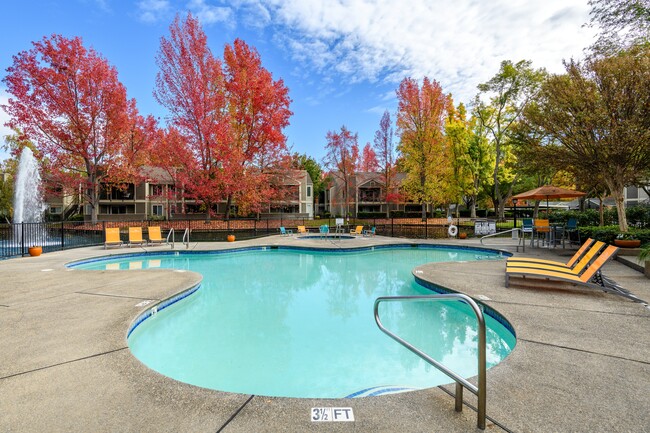 Piscina y spa del centro de arrendamiento - Harbor Oaks Apartments