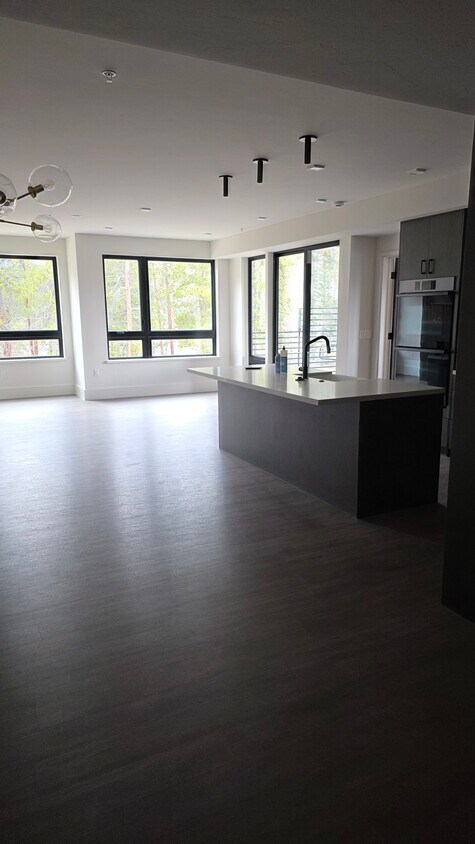 Living Room/Kitchen - 80 W Main St