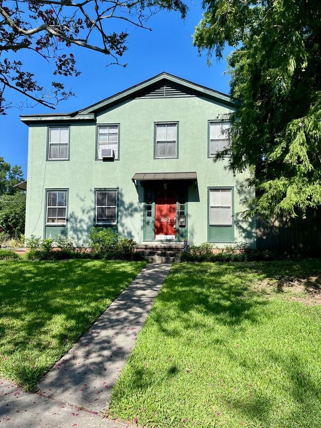 Great location in Garden District seconds from Downtown and LSU! - Great location in Garden District seconds from Downtown and LSU! House