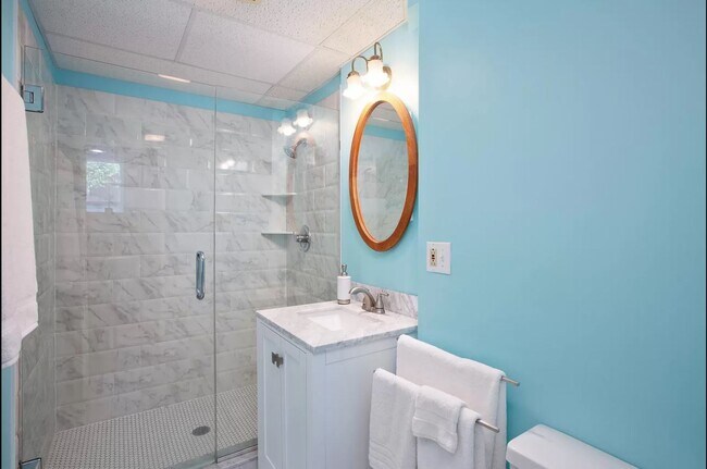 Baño alegre con ducha renovada. - 1317 Summit Ave