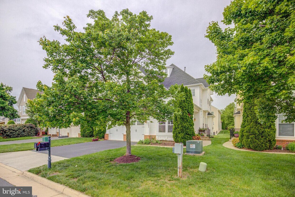 41960 Ural Dr, Stone Ridge, VA 20105 House Rental in Stone Ridge, VA