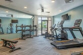 Located at 2725 Marshall Ct in Shorewood Hills, WI, this fitness center offers a comprehensive and thoughtfully designed workout facility across a single, generously sized floor. The space features soft, light blue accent walls paired with crisp white ceilings, recessed lighting, and ceiling fans that contribute to a clean, modern aesthetic. Patterned carpet tiles cover the floors throughout, providing both comfort and durability underfoot.

The main workout area is well-stocked with a variety of cardio equipment, including treadmills, an elliptical trainer, and a stationary bike, each equipped with individual display screens for an enhanced workout experience. Multiple flat-screen TVs are wall-mounted throughout the space for entertainment. A dedicated free weights section features an extensive rack of dumbbells and kettlebells in varying sizes, complemented by a full-length mirror wall that enhances the sense of openness and allows for proper form monitoring.

A functional cable machine and an adjustable weight bench offer additional strength training options. Natural light filters in through large glass doors that open to an outdoor area, adding to the bright and energizing atmosphere. Warm wood-toned door frames and built-in storage cabinetry add a refined touch to the overall design, making this fitness center both practical and welcoming.