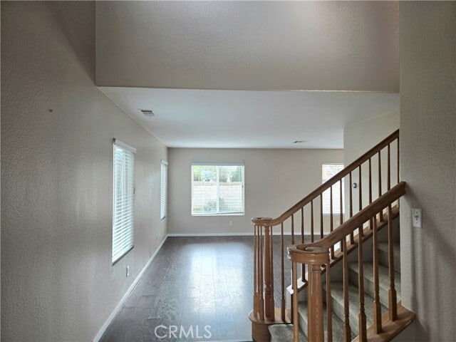 Building Photo - 4175 Amber Ridge Ln