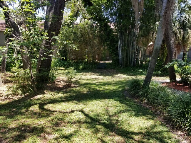Foto del edificio - CONDO NEAR USF!