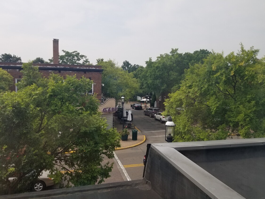 View from Liv Rm - 518 Wyoming Ave