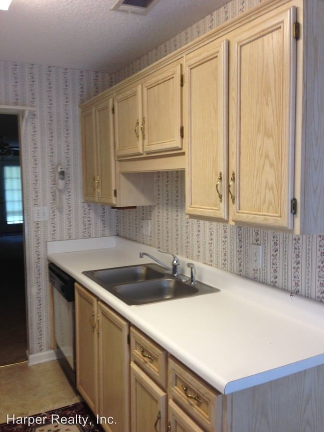 Building Photo - 2 br, 2 bath House - 111 Raintree Ct