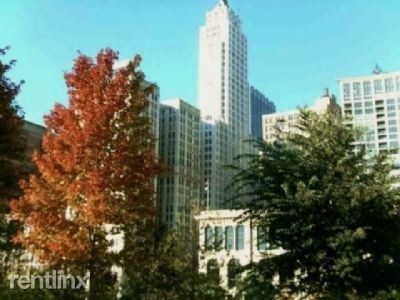 Foto del edificio - 2 br, 1 bath  - 55 E Washington St Apt 1510
