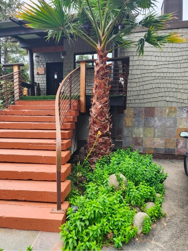 Foto principal - 29090 Robinson Cyn Rd