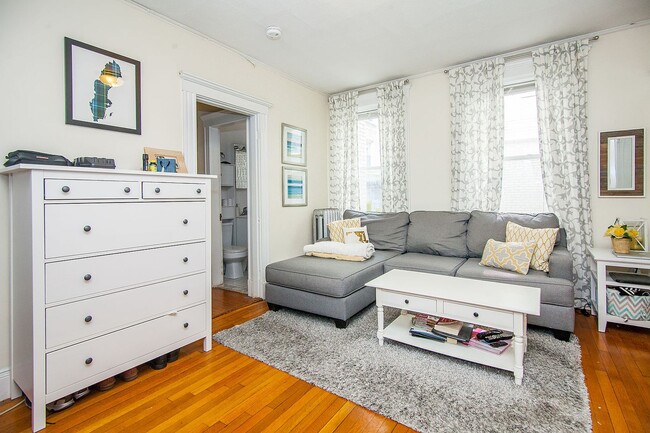 Building Photo - Super Comfortable Allston 1 Bed