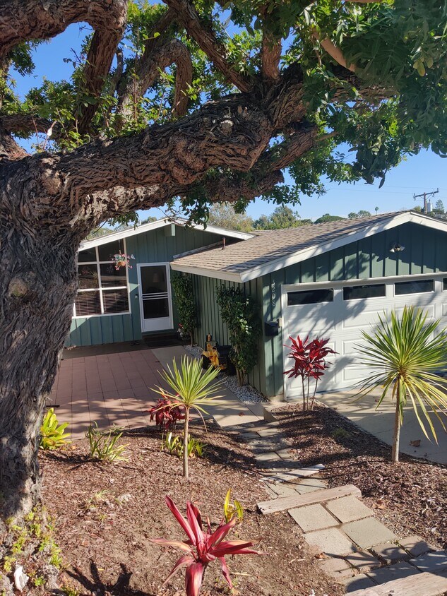 Front Yard and Entry - 3208 N Poinsettia Ave