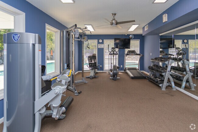 Gimnasio - The Willow