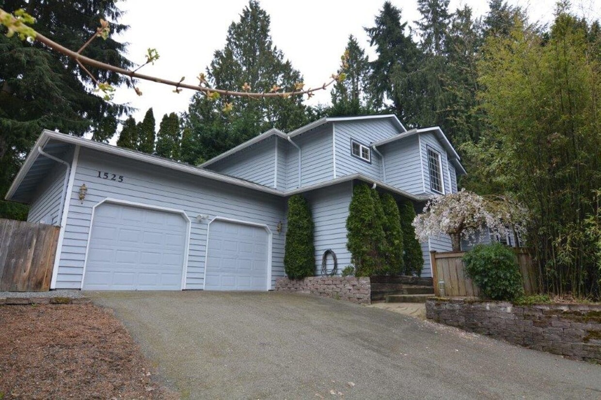 Shoreline Home Nestled in Trees - Shoreline Home Nestled in Trees