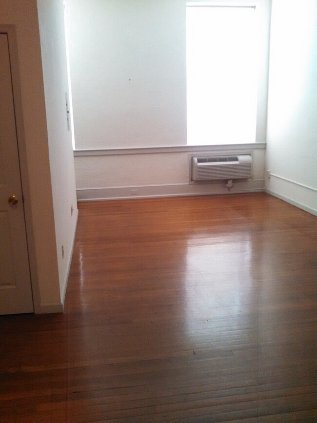 Loft 101 Living Area & Hardwwod Floor - 221 E Mifflin St