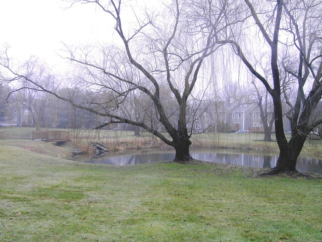 Building Photo - 191 Georgetown Dr
