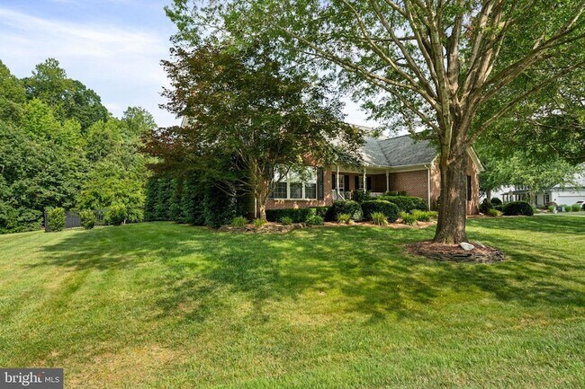Foto del edificio - 61 Kirby Ln