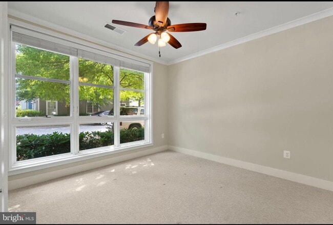 Large bedroom with ceiling fan - 815 N Patrick St