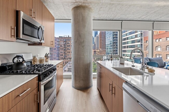 Photo - 1395 S Wabash Ave (Chicago, IL) Apartment