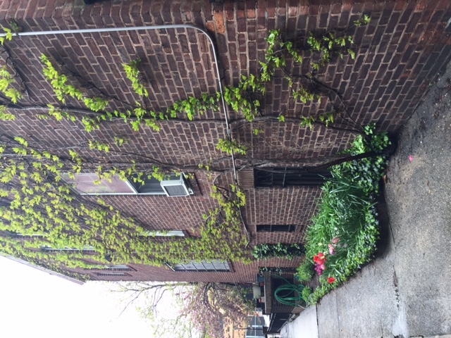 Building Photo - 431 Washington Ave