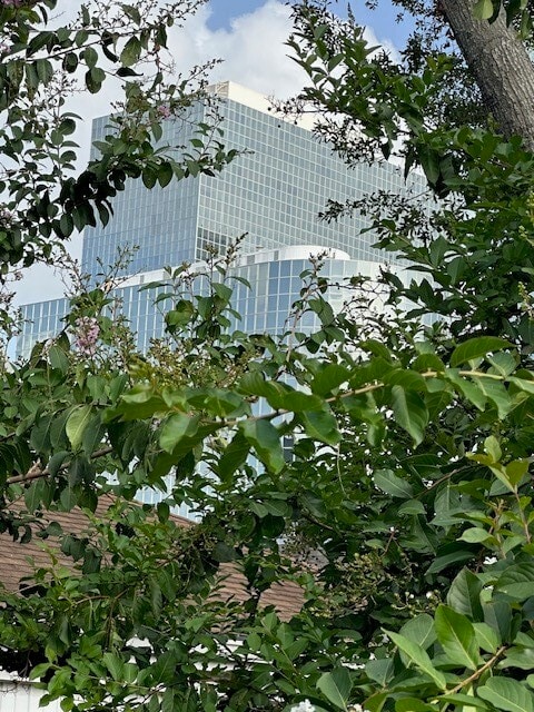 Building Photo - 3400 Timmons Ln