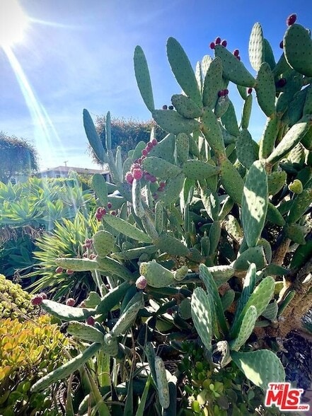 Building Photo - 3017 Urban Ave