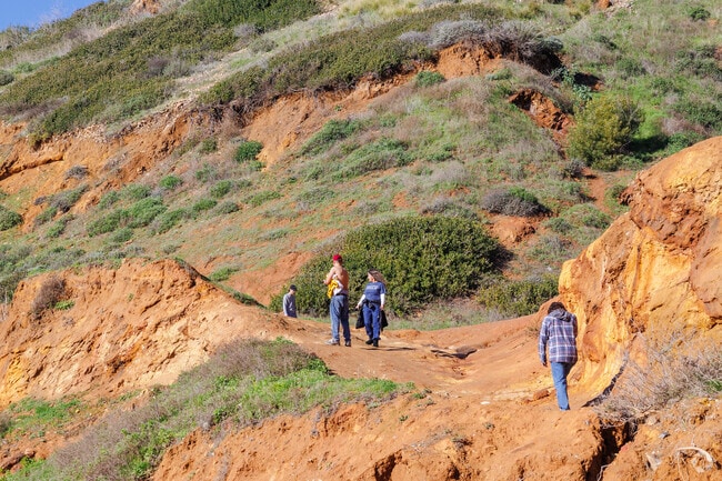 Go for hikes around the endless cliffside trails in Palos Verdes Estates, CA.
