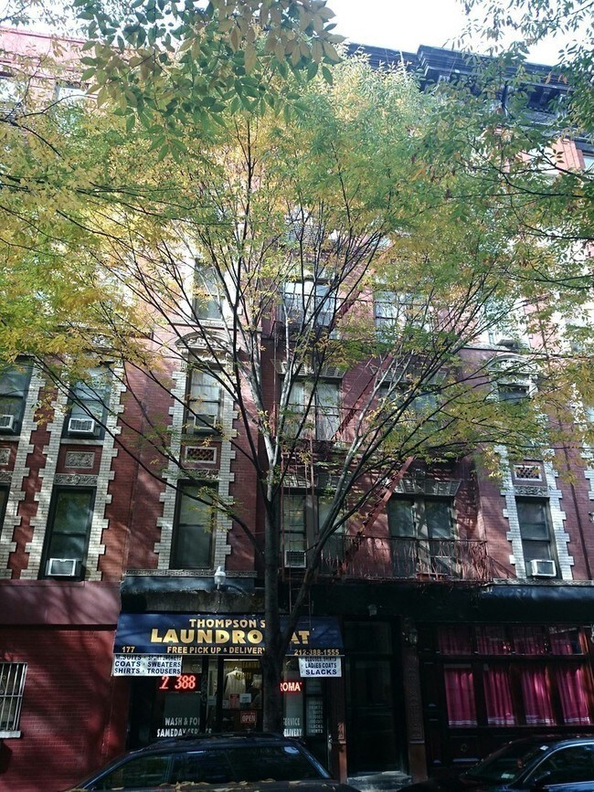 Building Photo - 177 Thompson St